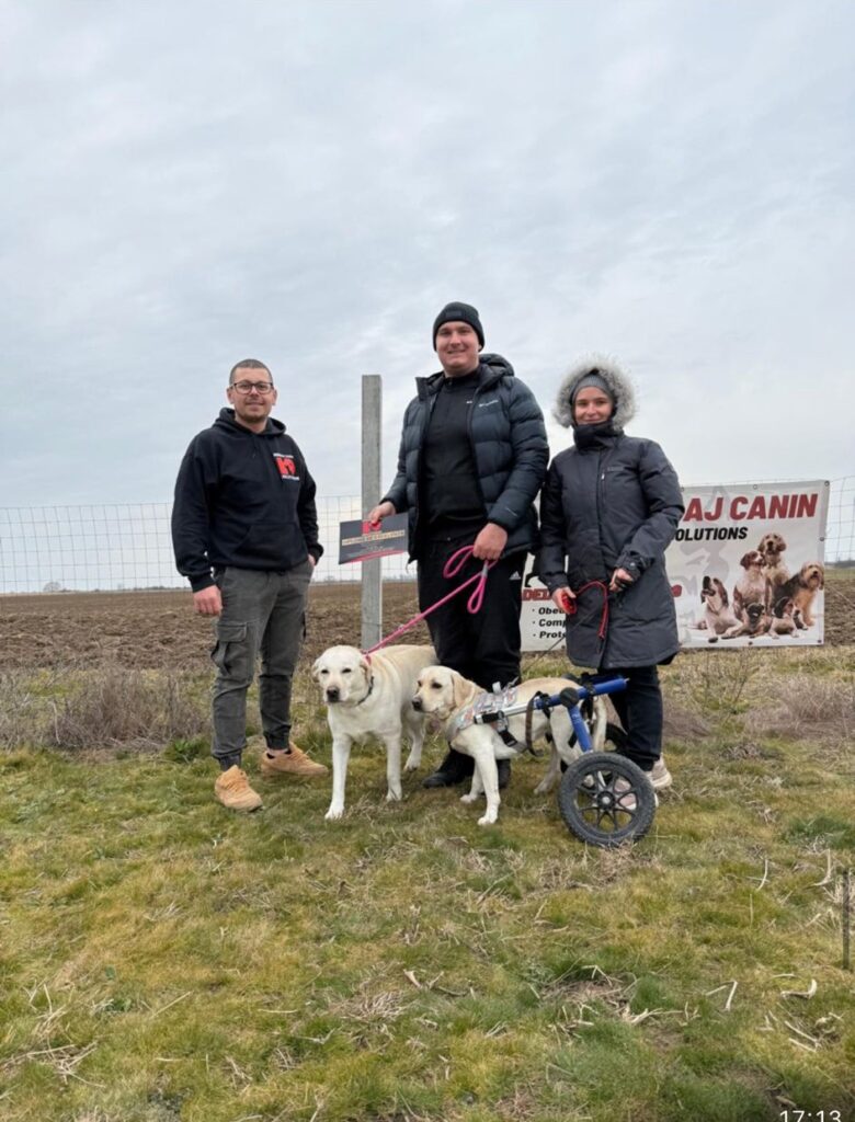 Deian Iacsin, cunoscut în mediul online drept „Băiatul de la Timișoara”, este unul dintre cei mai urmăriți și comentați instructori canini din România 2 x4