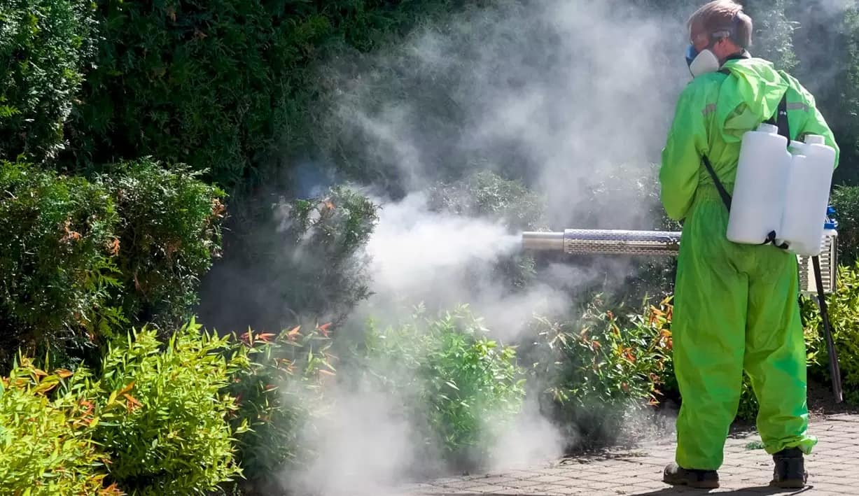Dezinsecție terestră în comuna Voiteg vineri seară, 4 septembrie, de la ora 21:00. Recomandări pentru apicultori și cetățeni