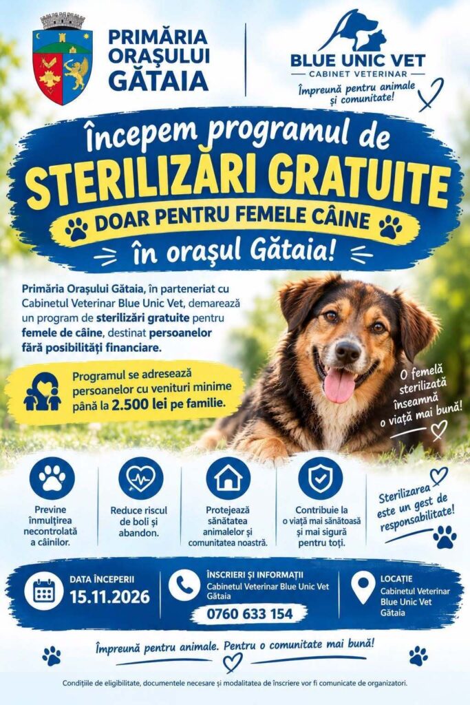 Sterilizări gratuite pentru câini la Gătaia. Programul începe pe 15 noiembrie și este destinat familiilor cu venituri mici