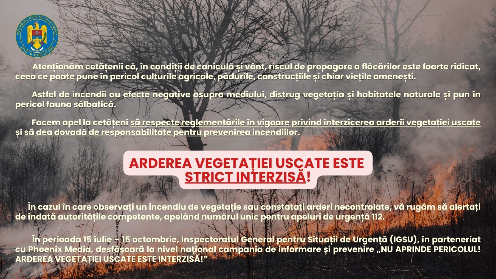 16 incendii în Timiș în ultimele 24 de ore: pompierii au intervenit și la Deta, unde au ars deșeuri